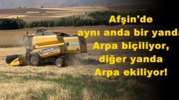 Afşin’de aynı anda bir yanda Arpa biçiliyor,diğer yanda Arpa ekiliyor!