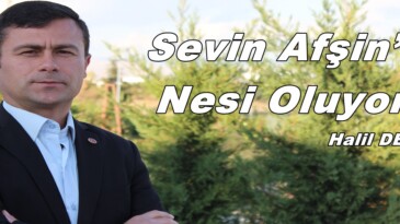 Sevin Afşin’in Nesi Oluyor?