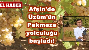 Afşin’de Üzüm’ün Pekmeze yolculuğu başladı!