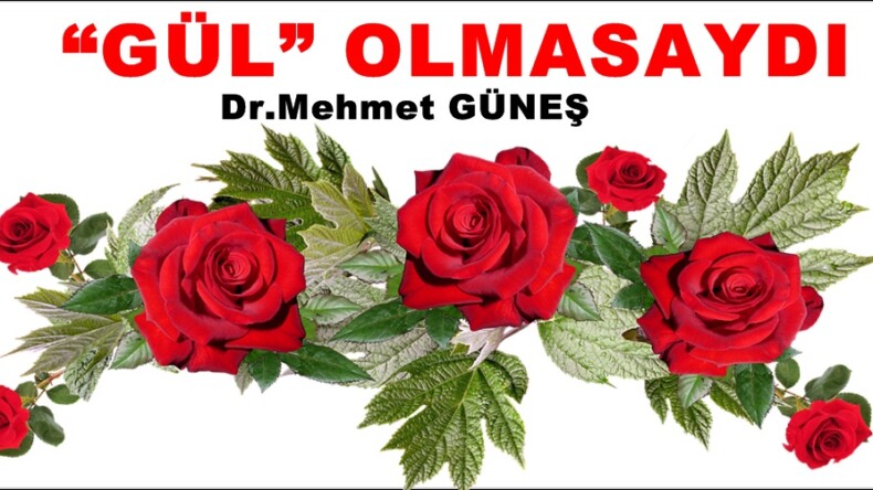  “GÜL” OLMASAYDI