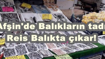 Afşin’de Balıkların tadı Reis Balıkta çıkar!