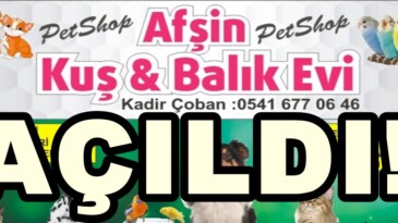 Afşin Kuş ve Balık Evi açıldı!