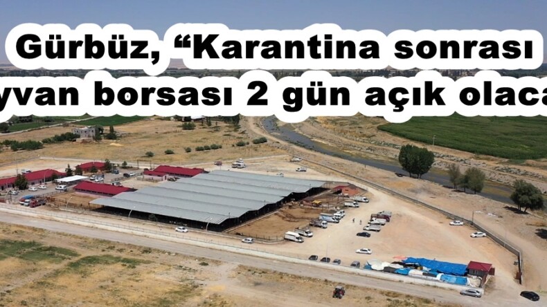 Gürbüz, “Karantina sonrası hayvan borsası 2 gün açık olacak”