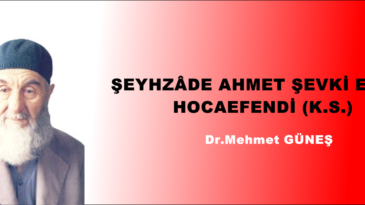 ŞEYHZÂDE AHMET ŞEVKİ ERGİN HOCAEFENDİ (K.S.)