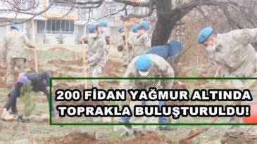 Afşin’de 200 Fidan Yağmur altında toprakla buluşturuldu!