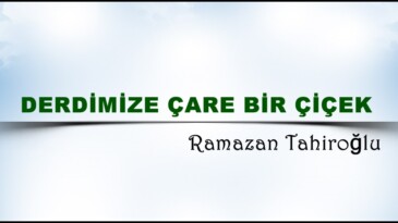 DERDİMİZE ÇARE BİR ÇİÇEK