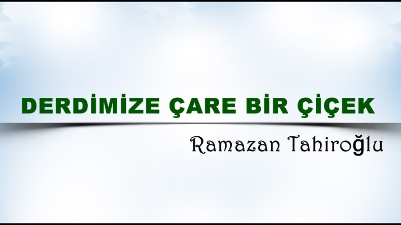 DERDİMİZE ÇARE BİR ÇİÇEK