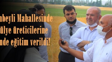 Çobanbeyli Mahallesinde Fasülye üreticilerine yerinde eğitim verildi!