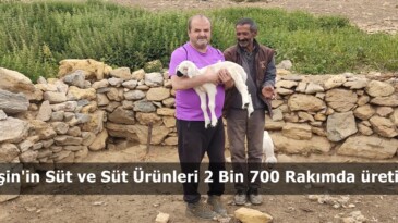 Afşin’in Süt ve Süt Ürünleri 2 Bin 700 Rakımda üretiliyor.