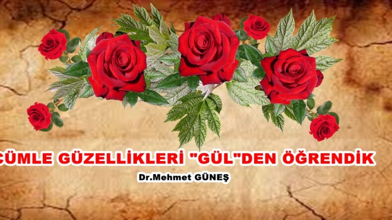 CÜMLE GÜZELLİKLERİ “GÜL”DEN ÖĞRENDİK