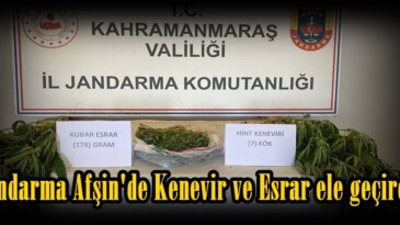 Jandarma Afşin’de Kenevir ve Esrar ele geçirdi.