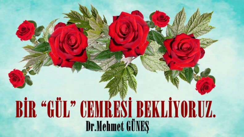 BİR “GÜL” CEMRESİ BEKLİYORUZ.