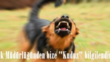 Sağlık Müdürlüğünden bize “Kuduz” bilgilendirmesi.