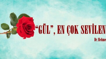 “GÜL”, EN ÇOK SEVİLENDİR.