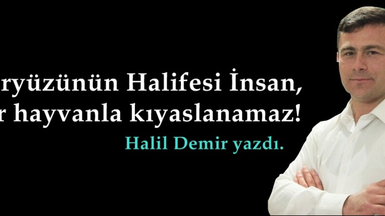 Yeryüzünün Halifesi İnsan,bir hayvanla kıyaslanamaz!