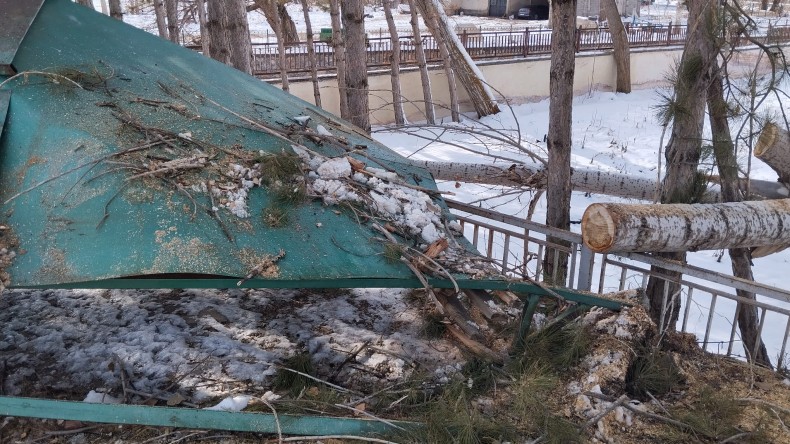 Afşin’de yıkılan Kavak Ağacı Otobüs Durağını kullanılamaz hale getirdi.