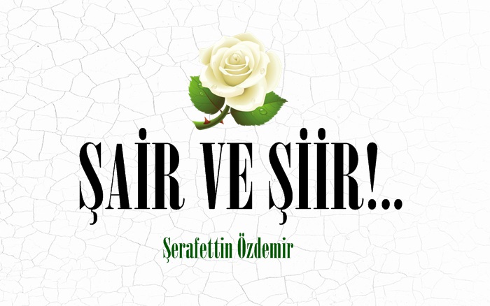 ŞAİR VE ŞİİR!..